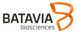 Batavia Logo